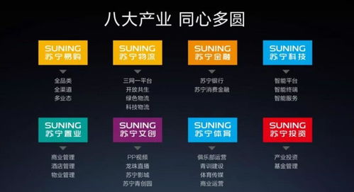 蘇寧易購復(fù)牌漲停的背后 物流與技術(shù)驅(qū)動的危機(jī)應(yīng)對與未來挑戰(zhàn)